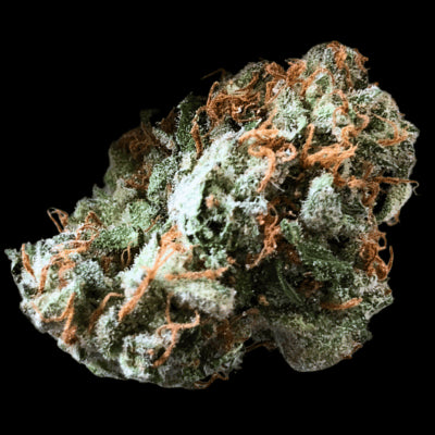 Terp Farmz - Brain Trauma Auto